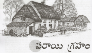 ParayiGraphamStory