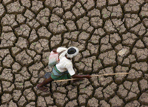 drought-hit-land-in-the-state-of-andhra-pradesh-in-2005
