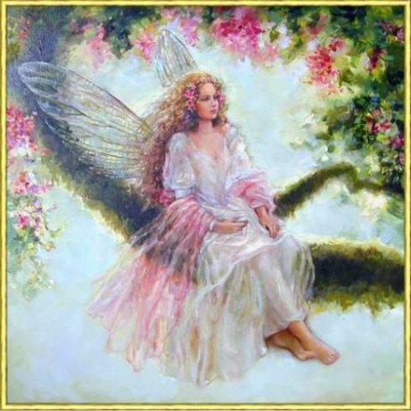 fairies